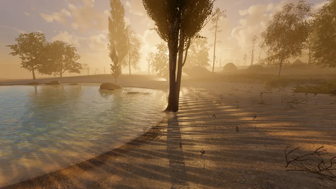 A small pond at golden hour. A tall tree in the middle of the frame is backlit by the low sun, and its long shadow and those of the trees behind it stripe the pale sand toward the camera, while poplars glow in the haze beyond.